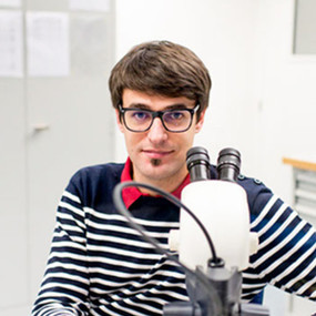 Goran Lovrić Goran Lovrić
