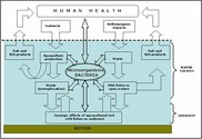 Aquatic microbial ecology as an indicator of the health status of the environment - AQUAHEALTH Aquatic microbial ecology as an indicator of the health status of the environment - AQUAHEALTH
