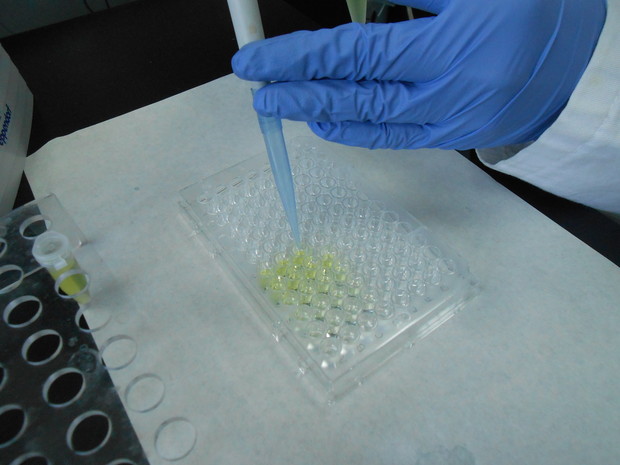 Metali i stanični biomarkeri Metali i stanični biomarkeri
