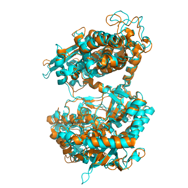 Povezanost fleksibilnosti, aktivnosti i strukture u porodici dipeptidil-peptidaza III