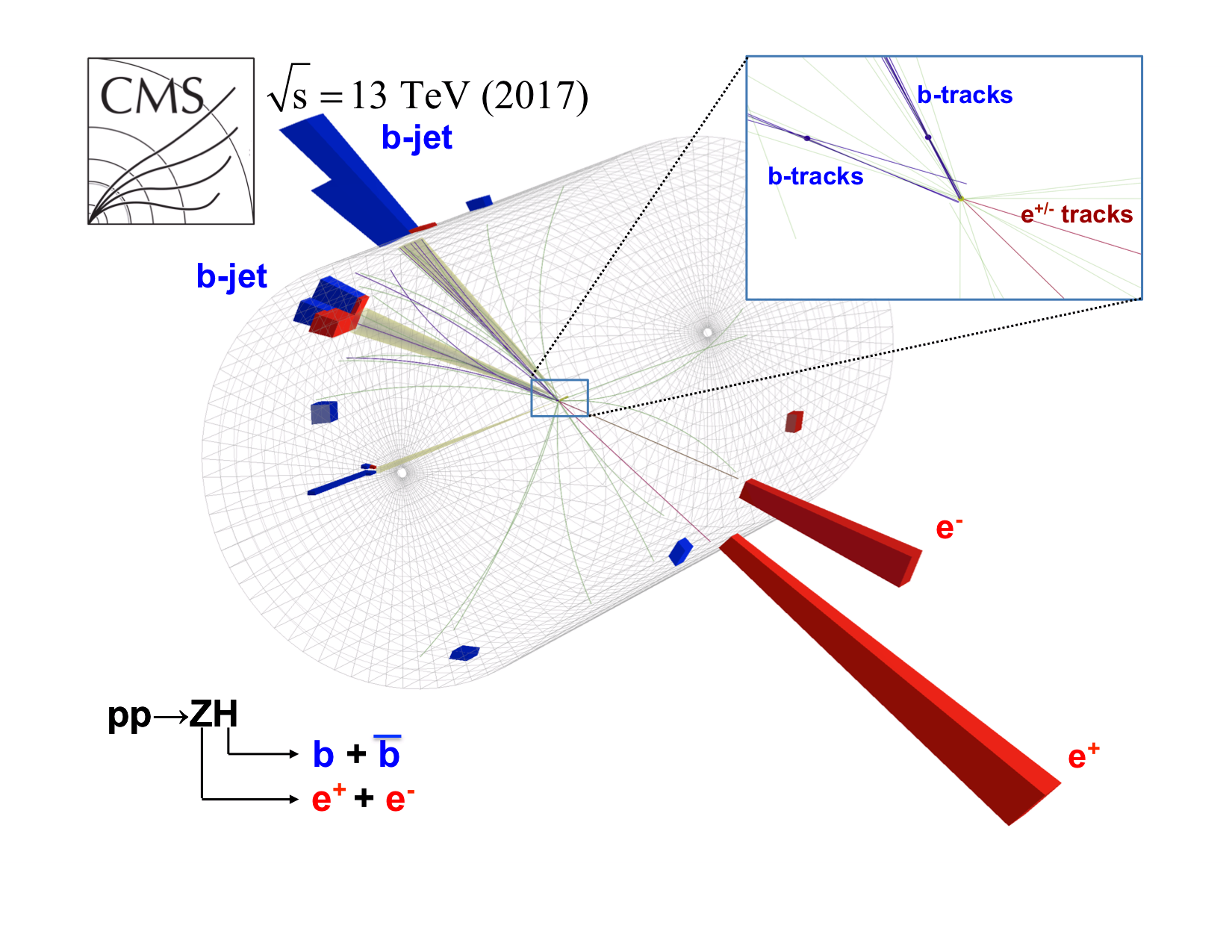 Ruđerovci sudjelovali u opažanju dugo traženog raspada Higgsovog bozona u b kvarkove na CERN-u