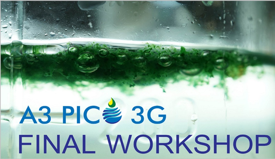 A3 PICO 3G Final Workshop Announcement