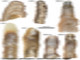 11_NGFancyBoxMax 11_NGFancyBoxMax