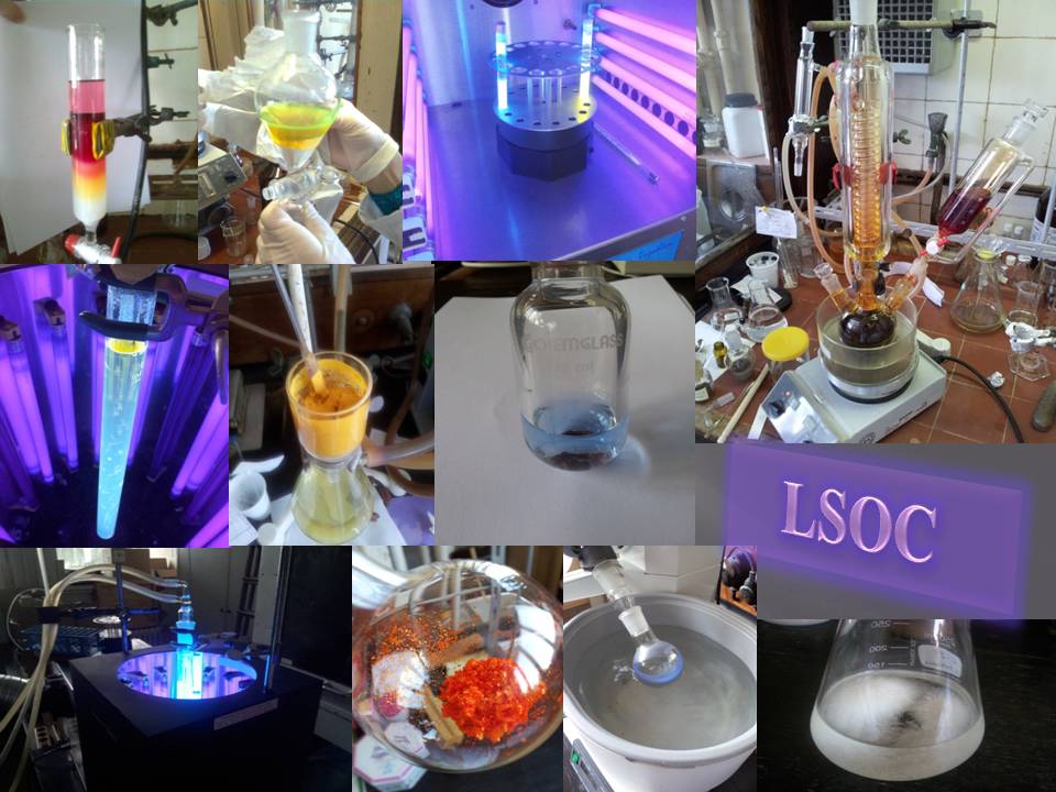 Laboratory of Synthetic Organic Chemistry