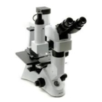 Trinocular Inverted microscope