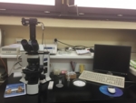 Polarizing optical microscope with hot stage