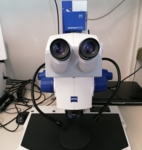 ZEISS Stereomikroskop