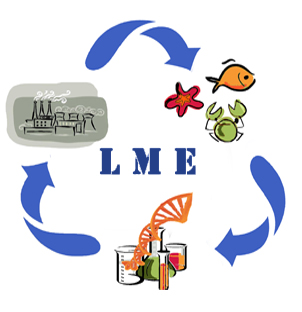 LME