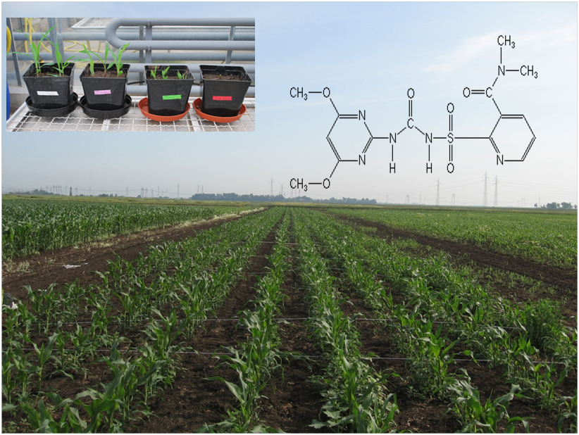 Development and evaluation of innovative tools to estimate the ecotoxicological impact of low dose pesticide application in agriculture on soil functional microbial biodiversity