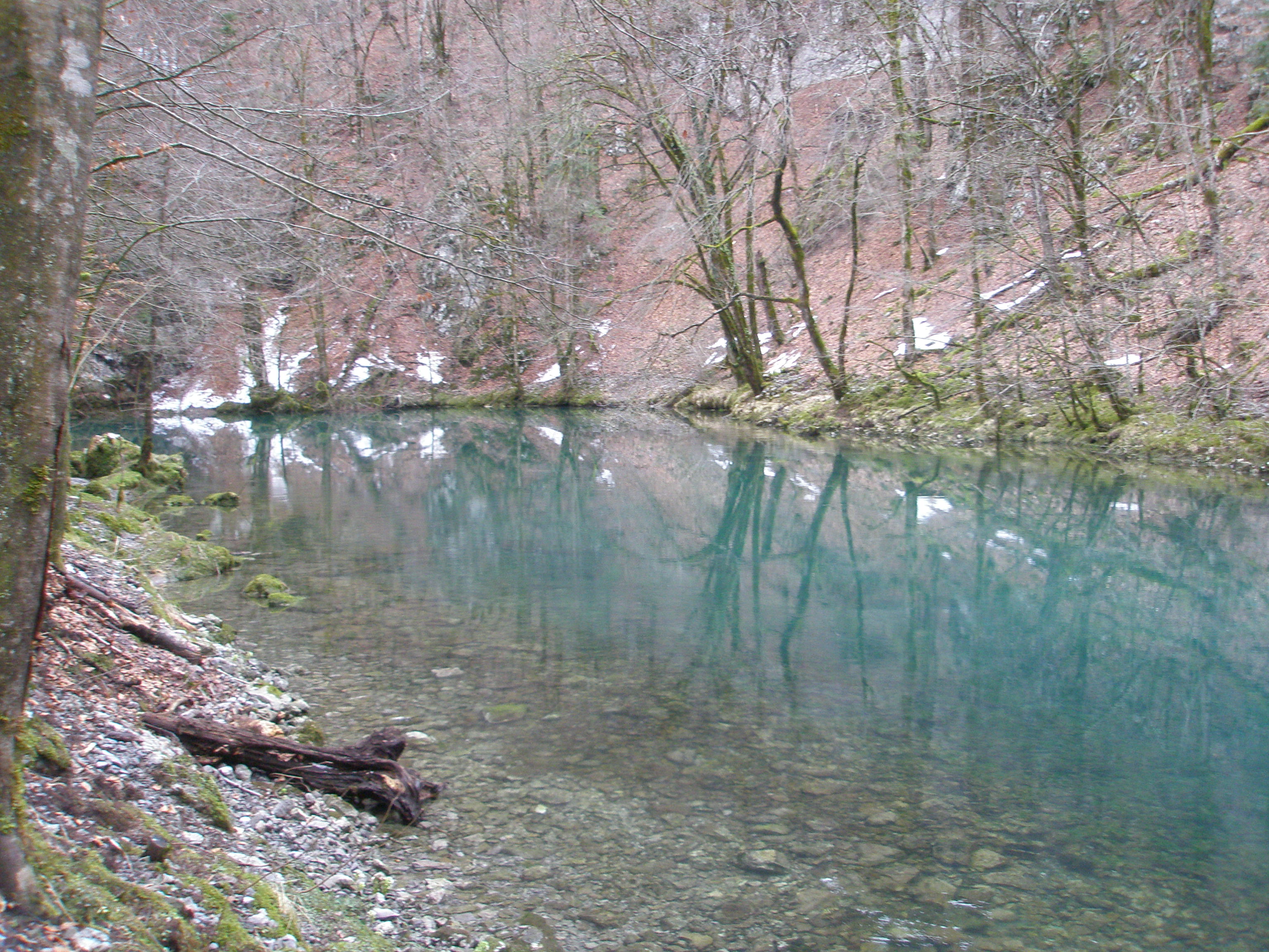 Hydrogeological investigations of the upper flow of Kupa River and its tributaries