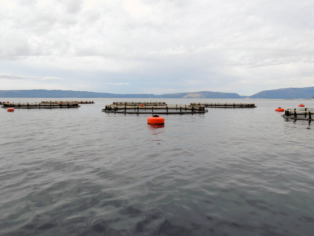 Praćenja stanja okoliša na ribogojilištu RibarstvoF, Cres