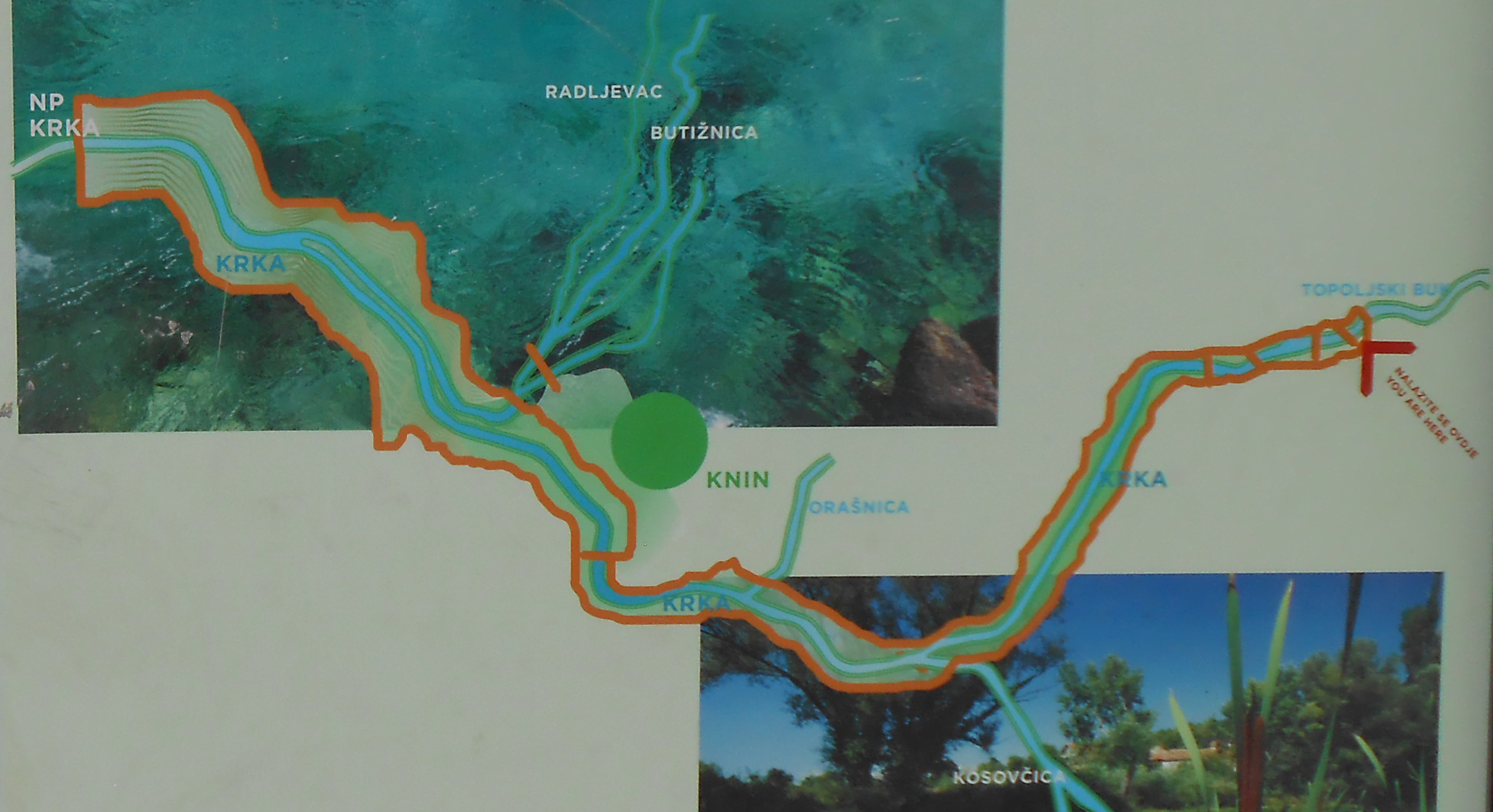 Procjena kakvoće vodotoka rijeke Krke i potencijalne opasnosti za Nacionalni park Krka primjenom novih bioindikatora i biomarkera