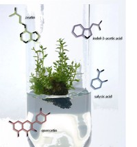 Laboratorij za kemijsku biologiju Laboratorij za kemijsku biologiju