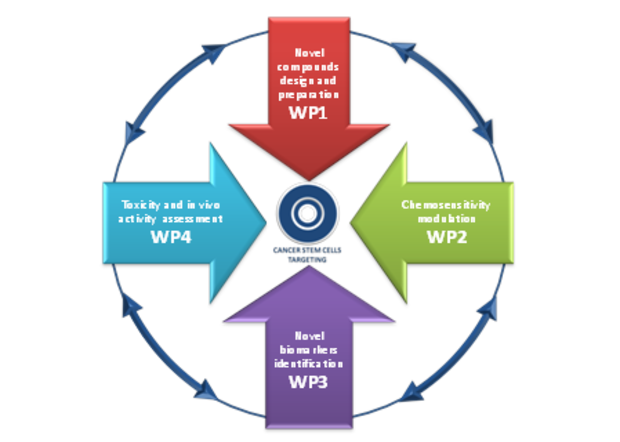 MultiCaST Work Packages scheme MultiCaST Work Packages scheme
