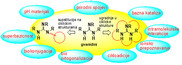 Cycloaddition strategies towards polycyclic guanidines Cycloaddition strategies towards polycyclic guanidines