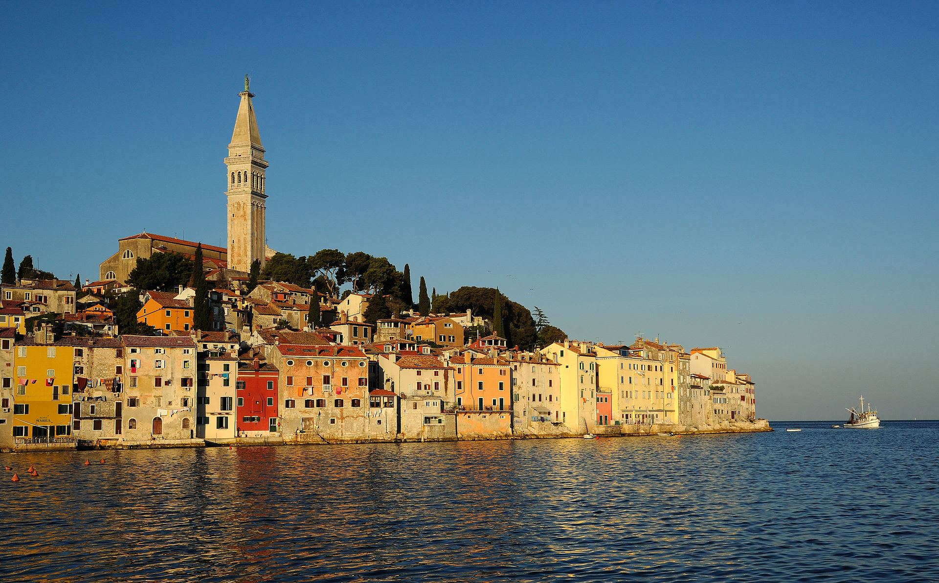 Ljetna škola u Rovinj dovodi vodeće europske morske biologe