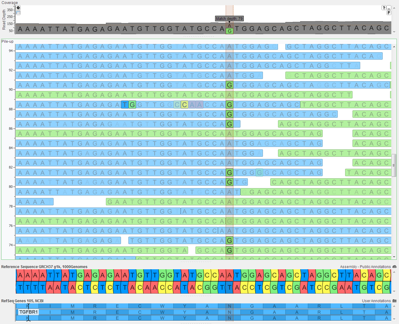 ‘DNA spellchecker’ means that our genes aren’t all equally likely to mutate and cause disease