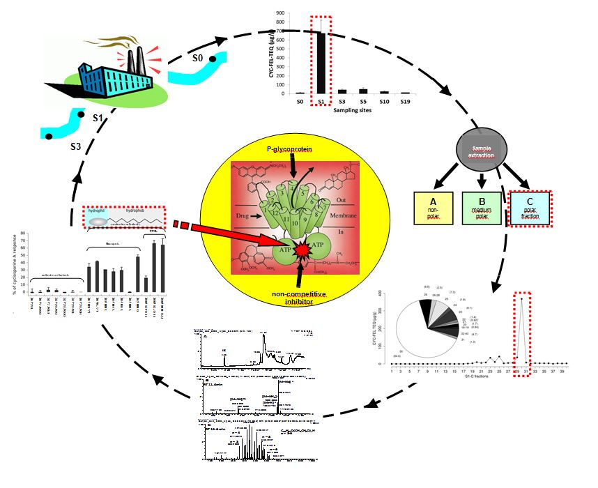 Znanstvenici IRB-a objavili rad u Environmental Science & Technology