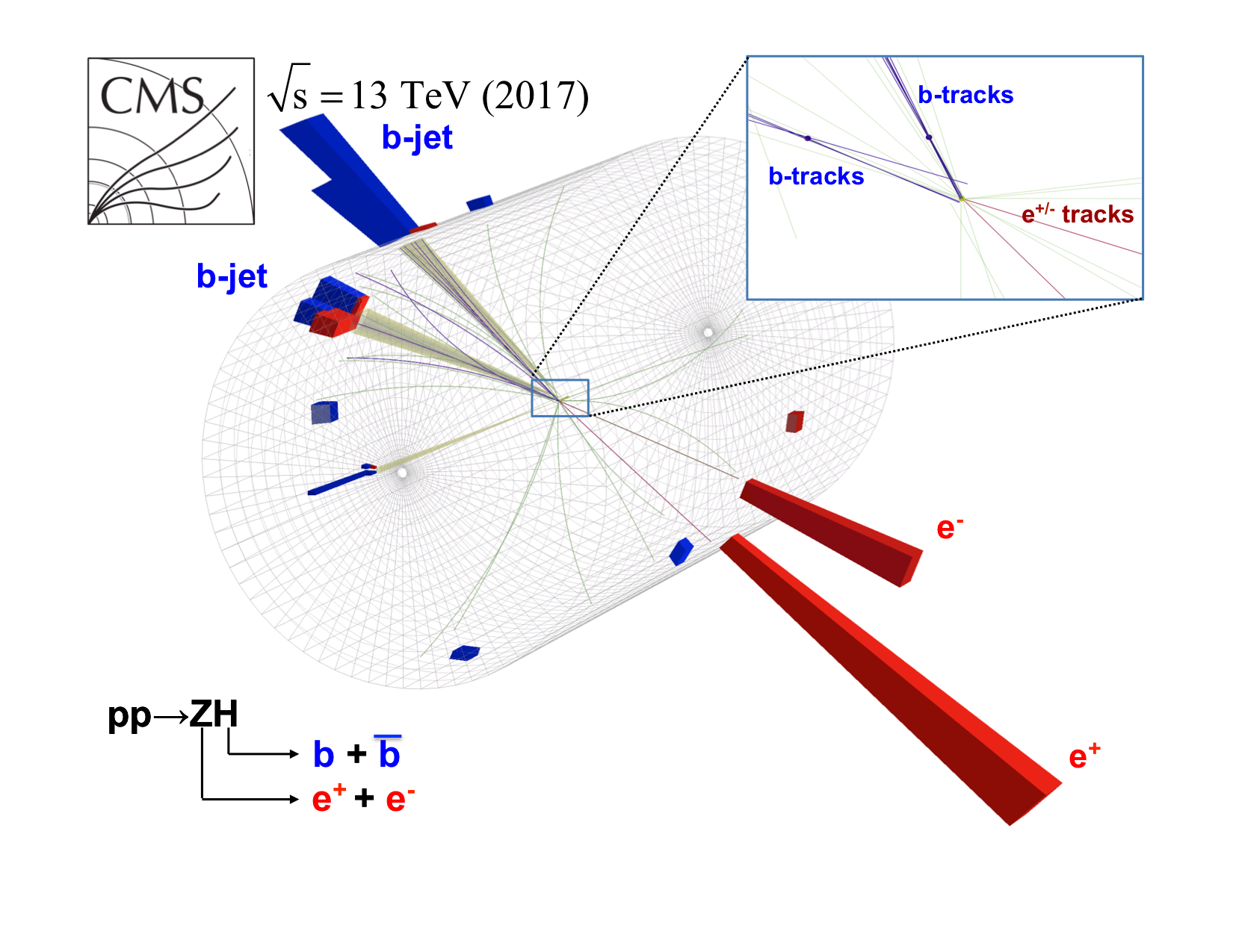 Long-Sought Higgs Boson Decay Finally Measured