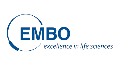 EMBO Conference on Meiosis