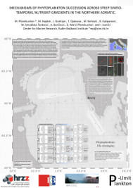 Mechanisms of phytoplankton for coping with P-limitation