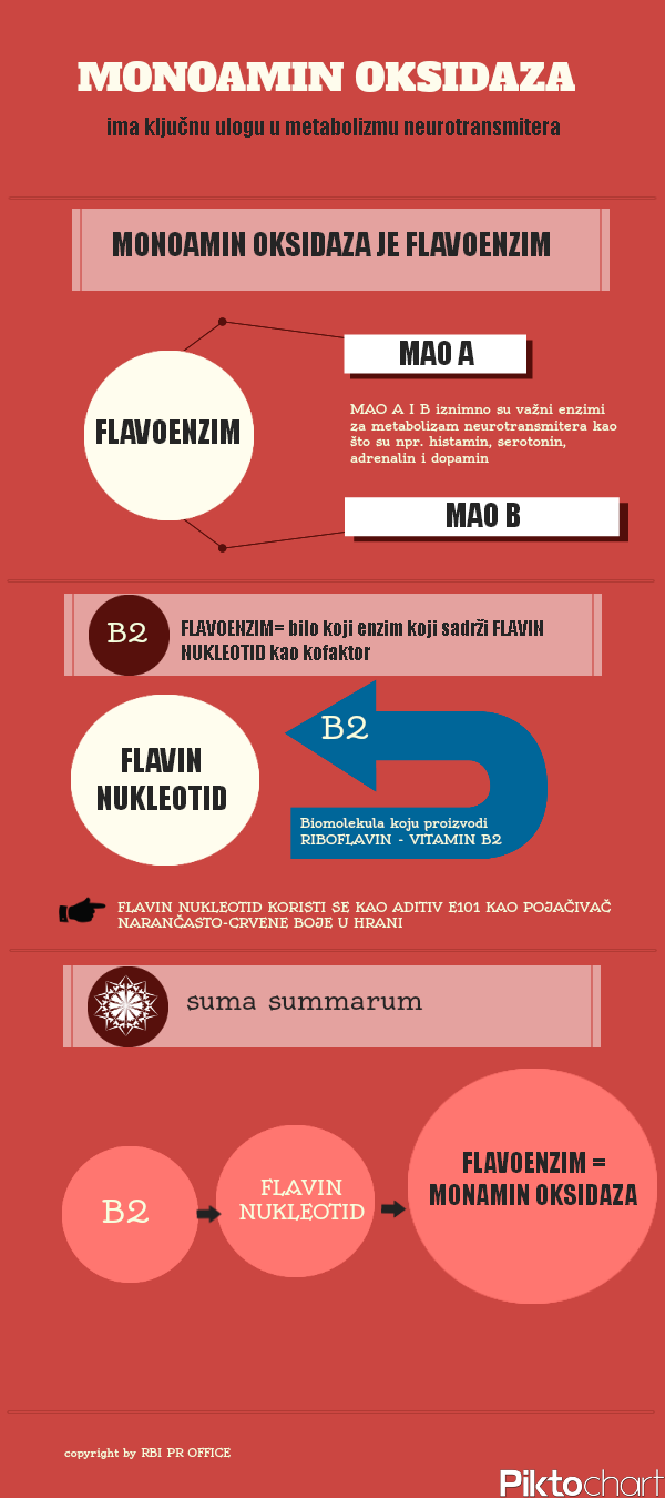 infografika-vianello