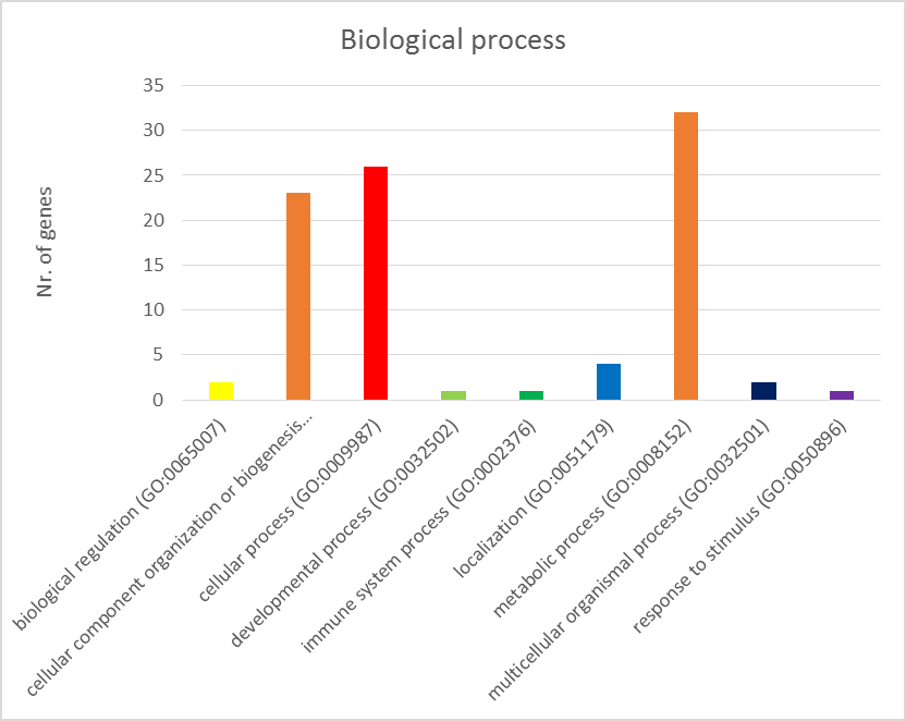 bp-2