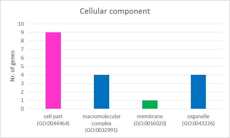 cc-2