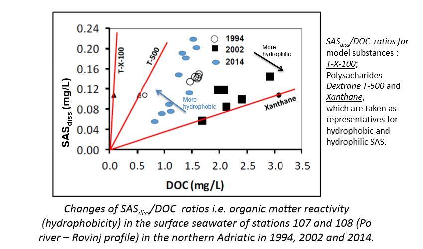 'Dissolved organic carbon and surface active substances in the northern Adriatic Sea: long-term trends, variability and drivers' 