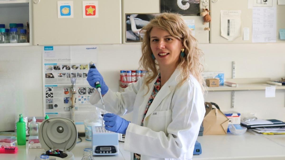 dr. sc. Eva Šatović Vukšić