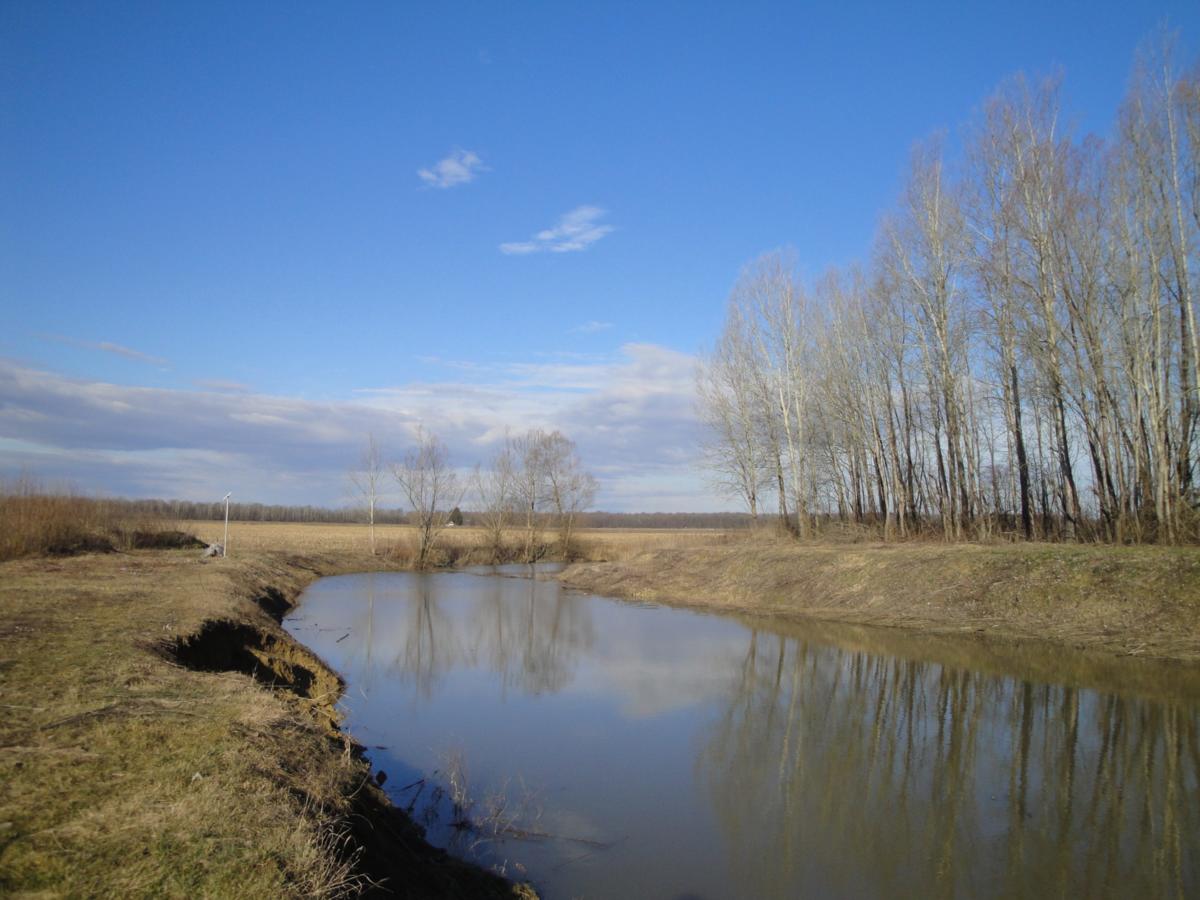 Park prirode Lonjsko polje najveće je poplavno i močvarno područje u dunavskom porječju. U Lonjsko polje izlijevaju se vode rijeke Save i njezinih prito...