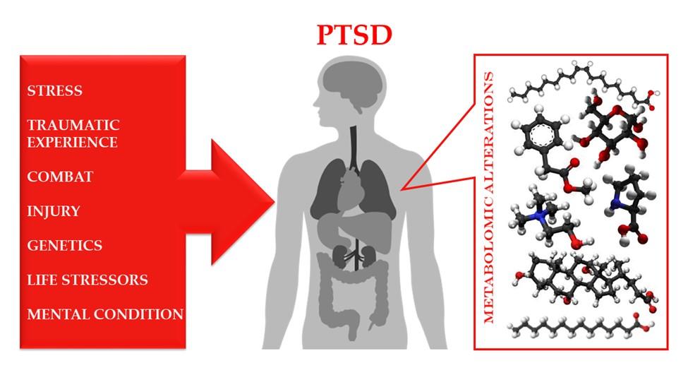 Novi-rezultati-dobiveni-metabolomskim-pristupom-istrazivanju-PTSP-a