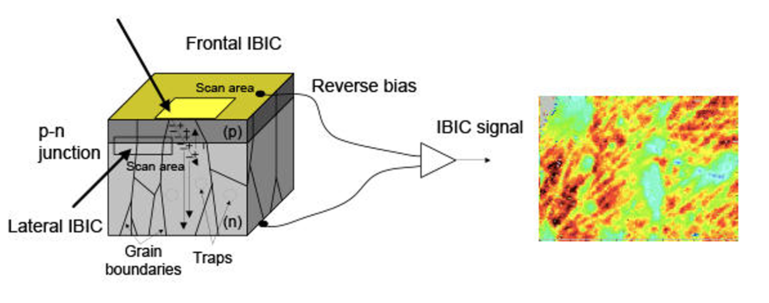 Frontal and lateral IBIC schematics (left) and example of the energy histogram (right)