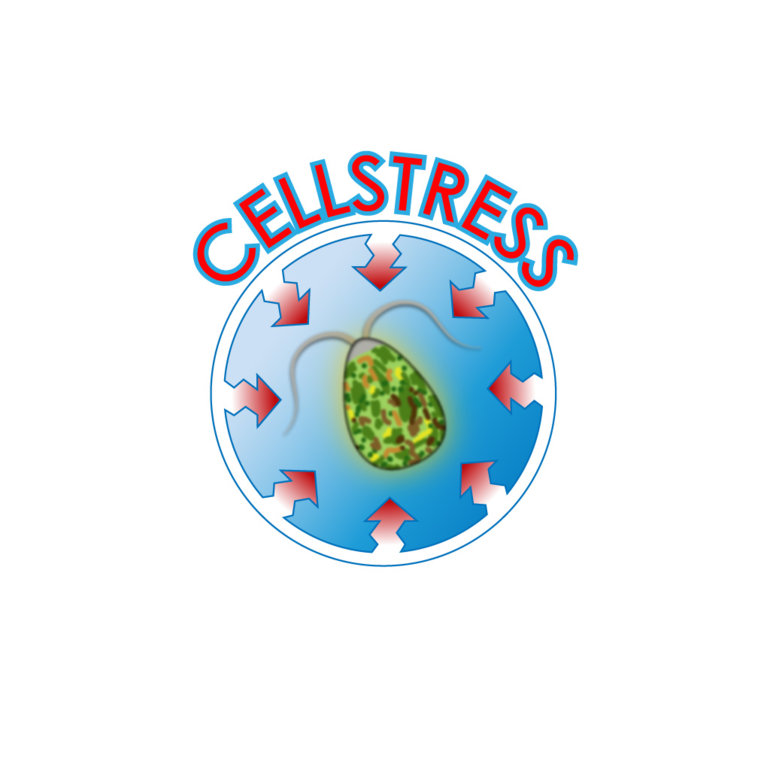 cell stress