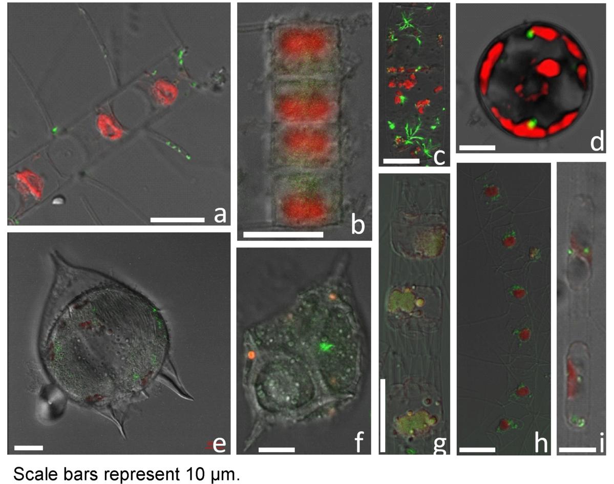 Fig_3_APA