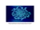 11_lace 11_lace