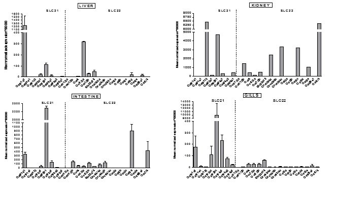 Slc21 22 exp