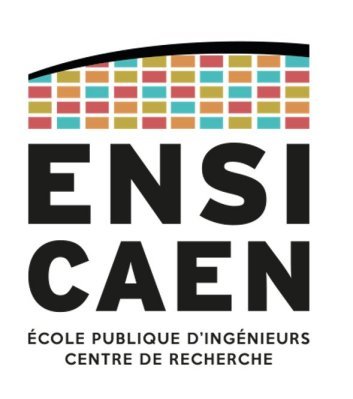 ENSI logo2