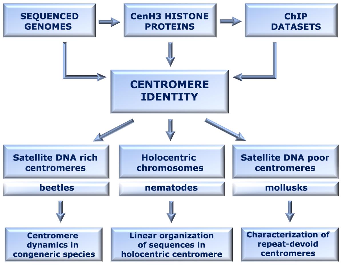 HRZZ14 Fig1