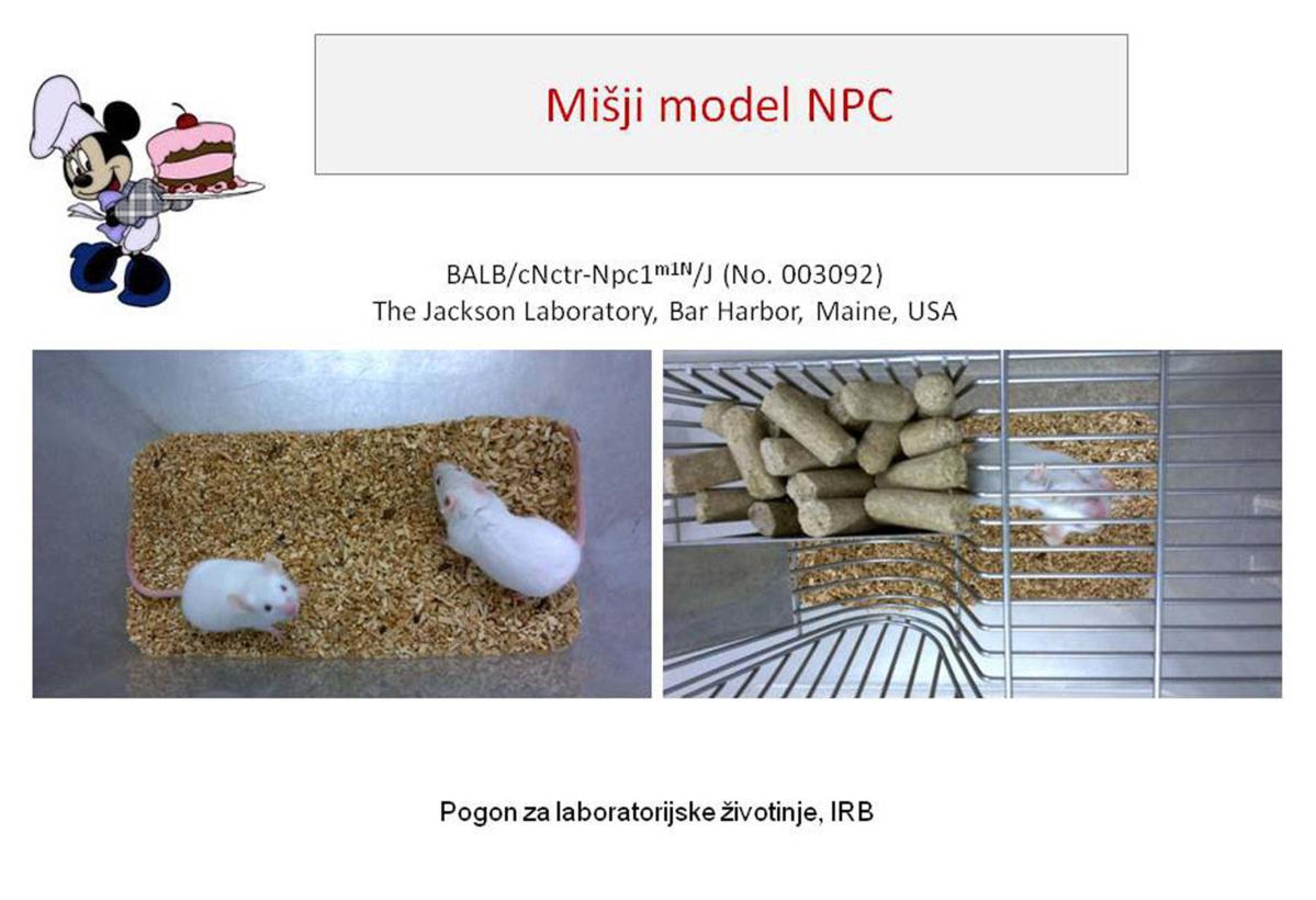 Misji model NPC1_2