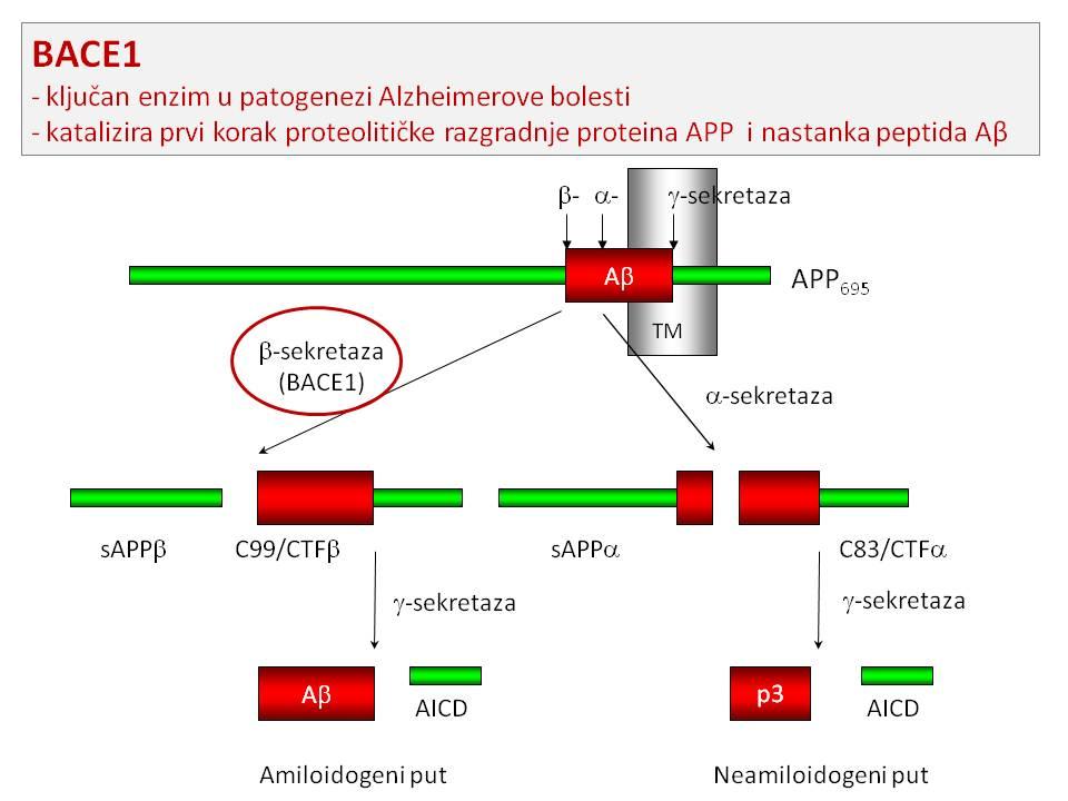 Slide2