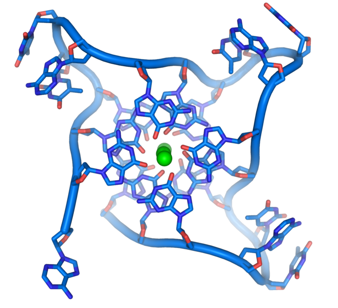 Analysis of Telomeres to Slow the Aging Process