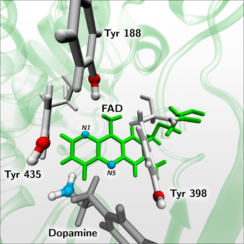 Dr. Vianello objavio rad u Journal of Chemical Theory and Computation