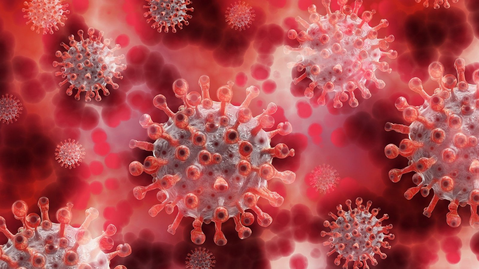 Genetičari s IRB-a identificirali su prisutnost omikron varijante koronavirusa