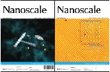 Novi specijalizirani časopis Nanoscale objavio pregledni članak dr. Đerđa