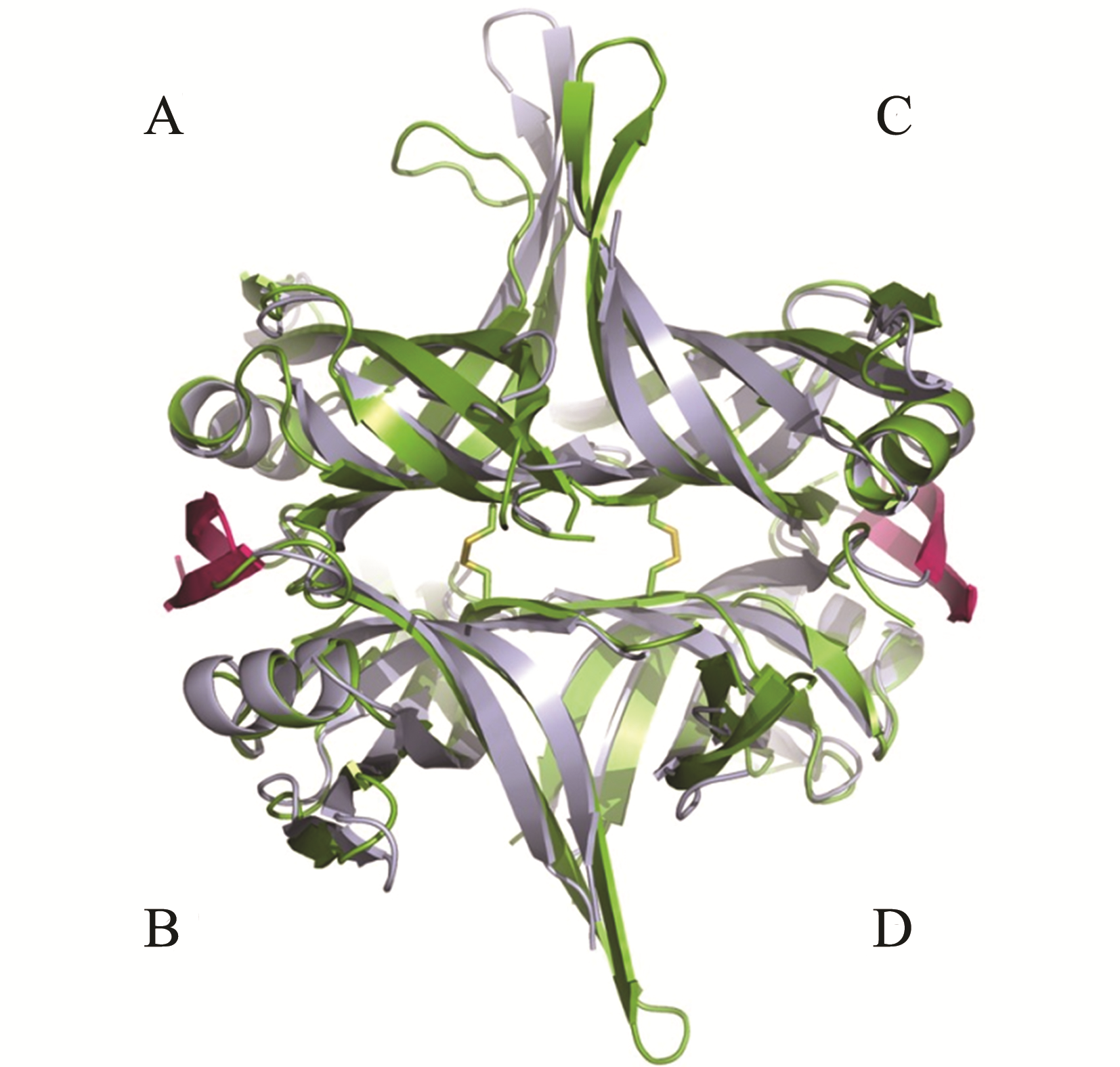 Nucleic Acids Research objavio rad Ruđerovaca