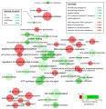 Objavljen rad IRB-ovih znanstvenika u prestižnom časopisu PLoS Genetics