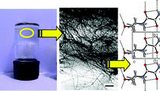 Feature Article Published in the Chemical Communications Journal