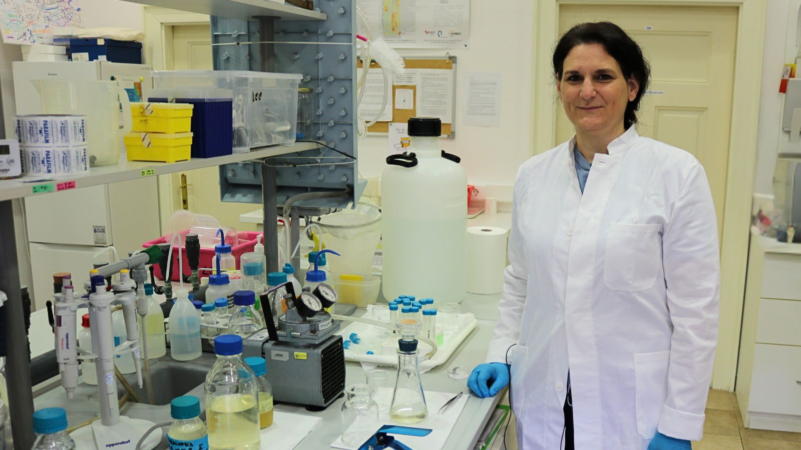 Od problema u ribarskim mrežama do gnojiva za polja: IRB razvija inovativno gnojivo iz meduza i rebraša