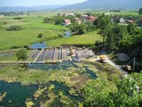 Otvoren "Hrvatski centar za autohtone vrste riba i rakova krških voda"